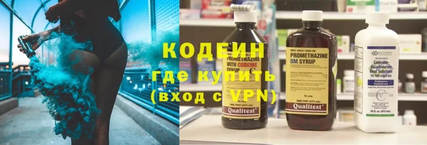 молекула духа Пестово