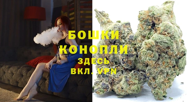 молекула духа Пестово