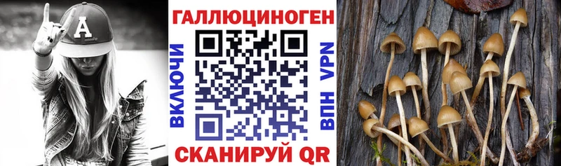 Псилоцибиновые грибы MAGIC MUSHROOMS  Спасск 